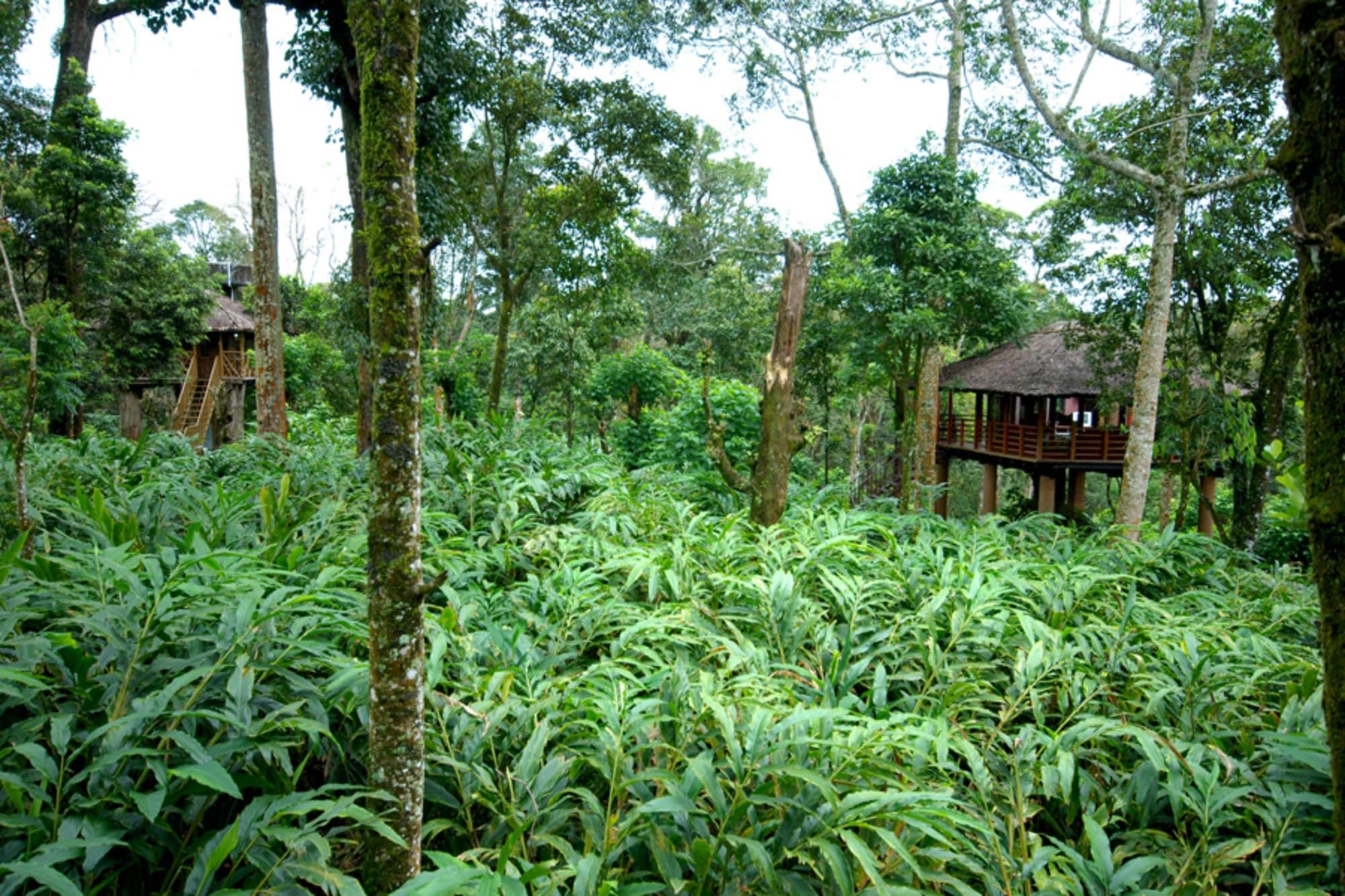 Carmelia Haven Resort Thekkady Exterior foto