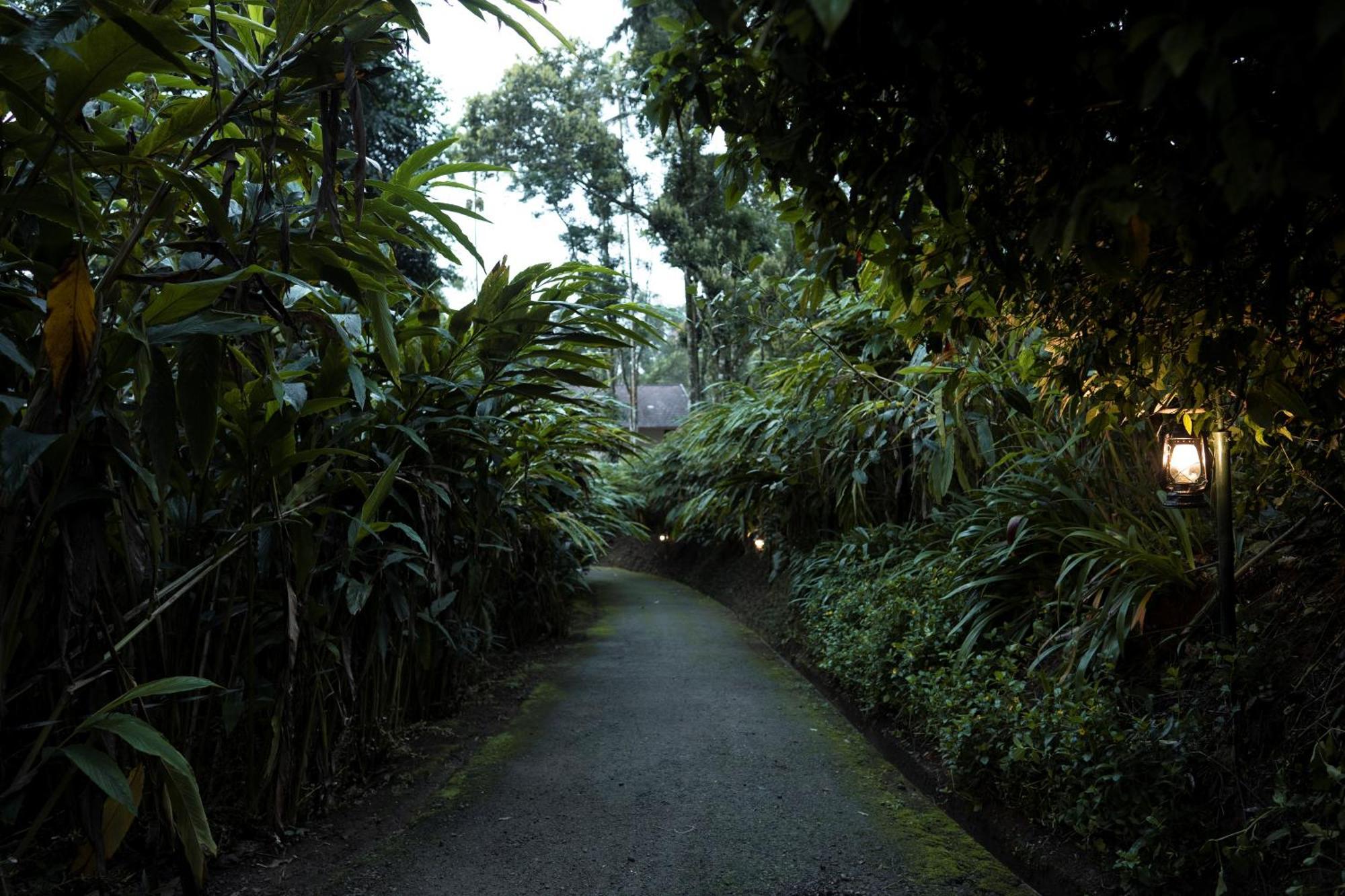 Carmelia Haven Resort Thekkady Exterior foto